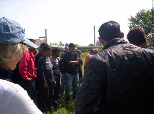 Picture 004